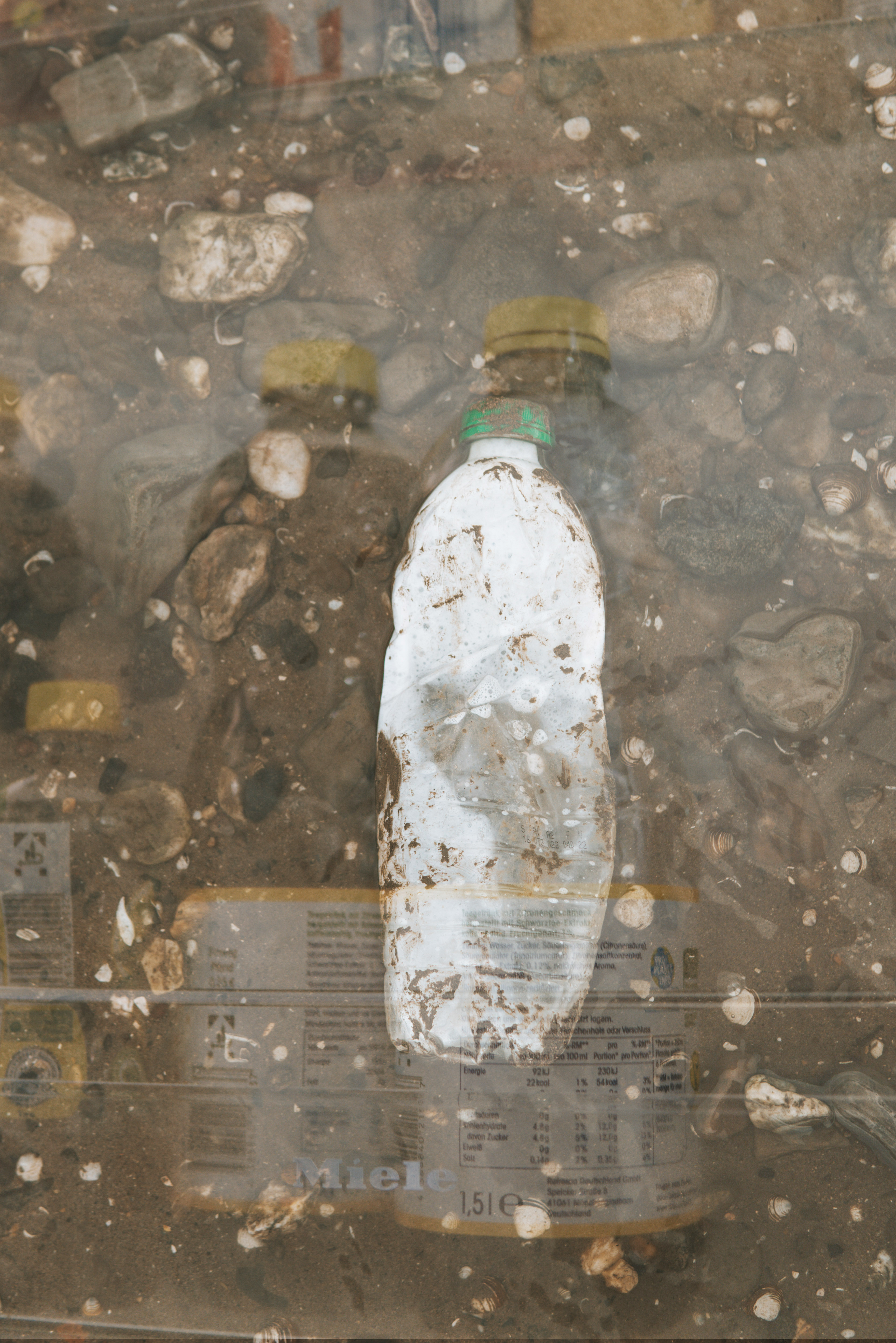 Der kurze Lebenszyklus der Plastikflasche