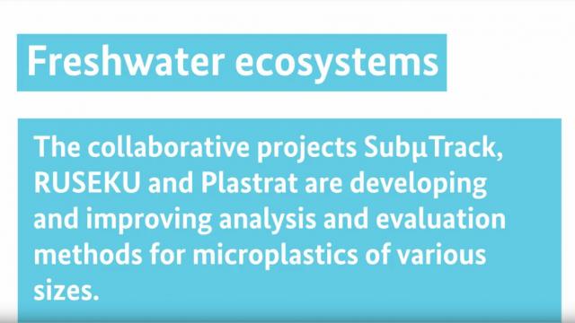 Video: Freshwater Ecosystem 2